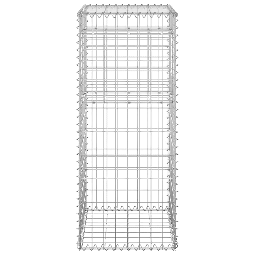Gabion Basket Posts 2 pcs 40x40x100 cm Iron
