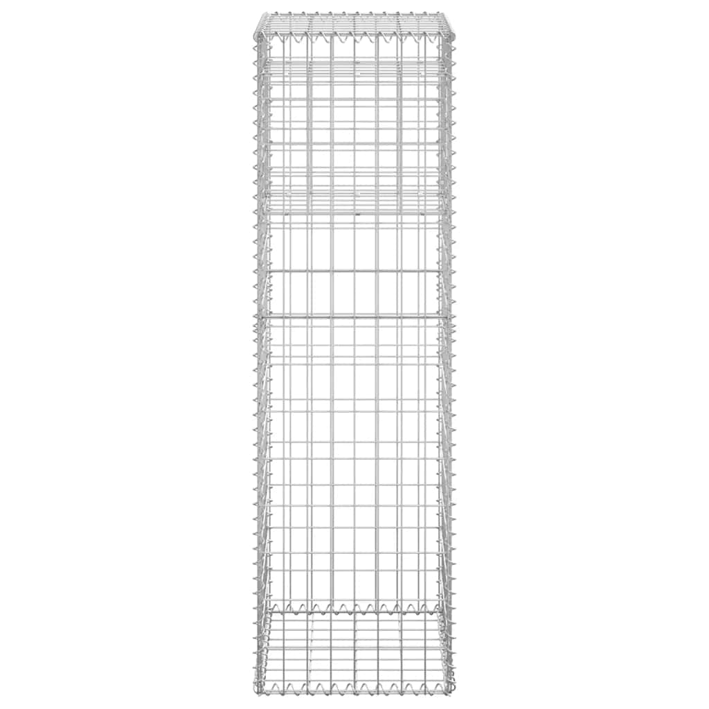 Gabion Basket Posts 2 pcs 40x40x140 cm Iron