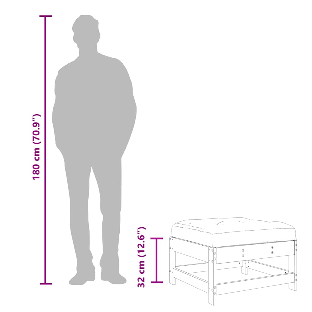 Garden Footstools with Cushions 2pcs Black Solid Wood Pine