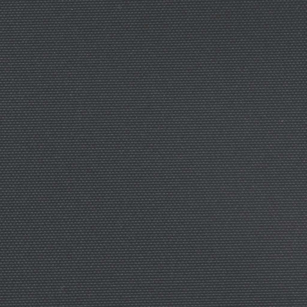 Retractable Side Awning Black 140x300 cm