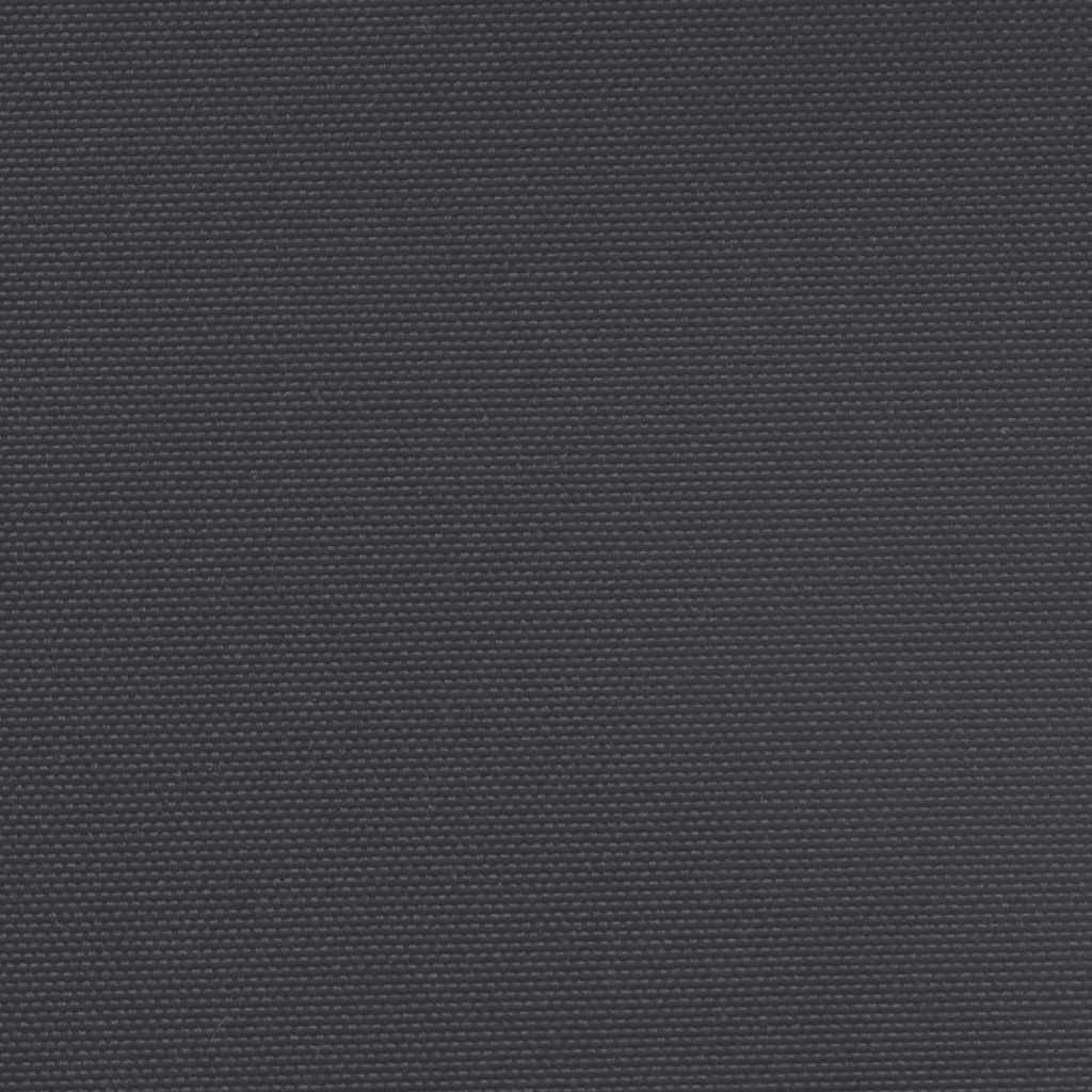 Retractable Side Awning Black 160x300 cm