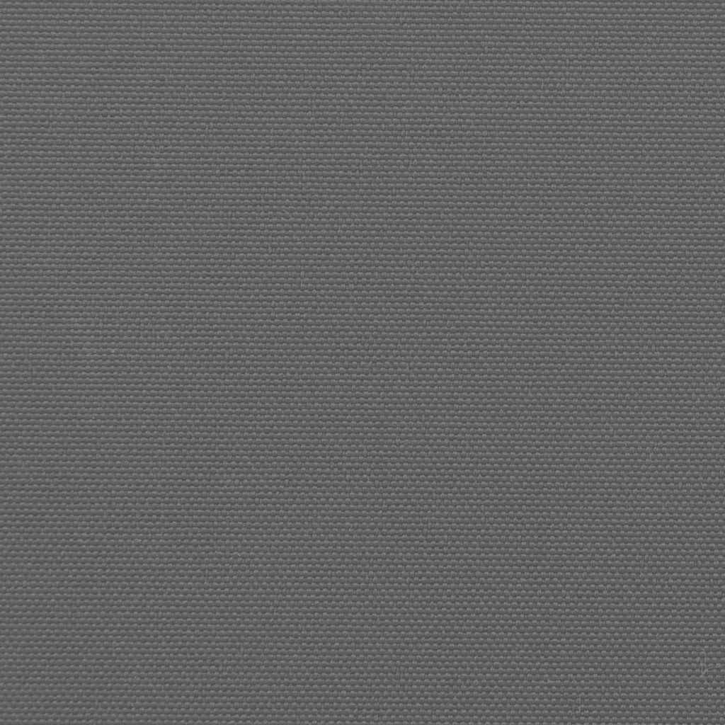 Retractable Side Awning Anthracite 140x500 cm