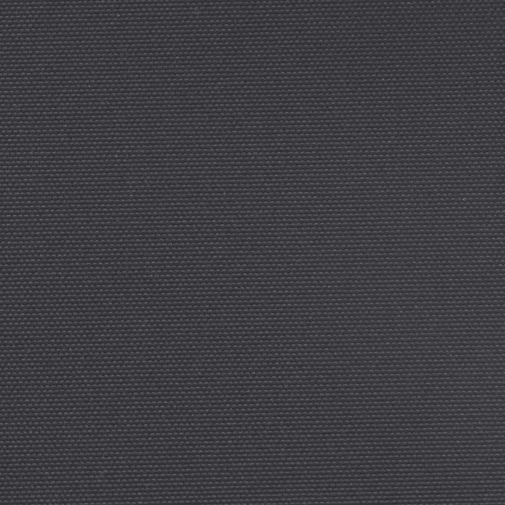 Retractable Side Awning Black 160x600 cm