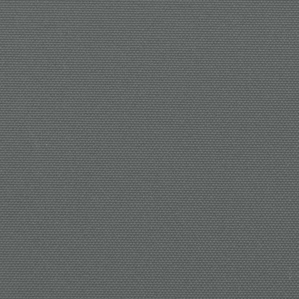 Retractable Side Awning Anthracite 160x600 cm