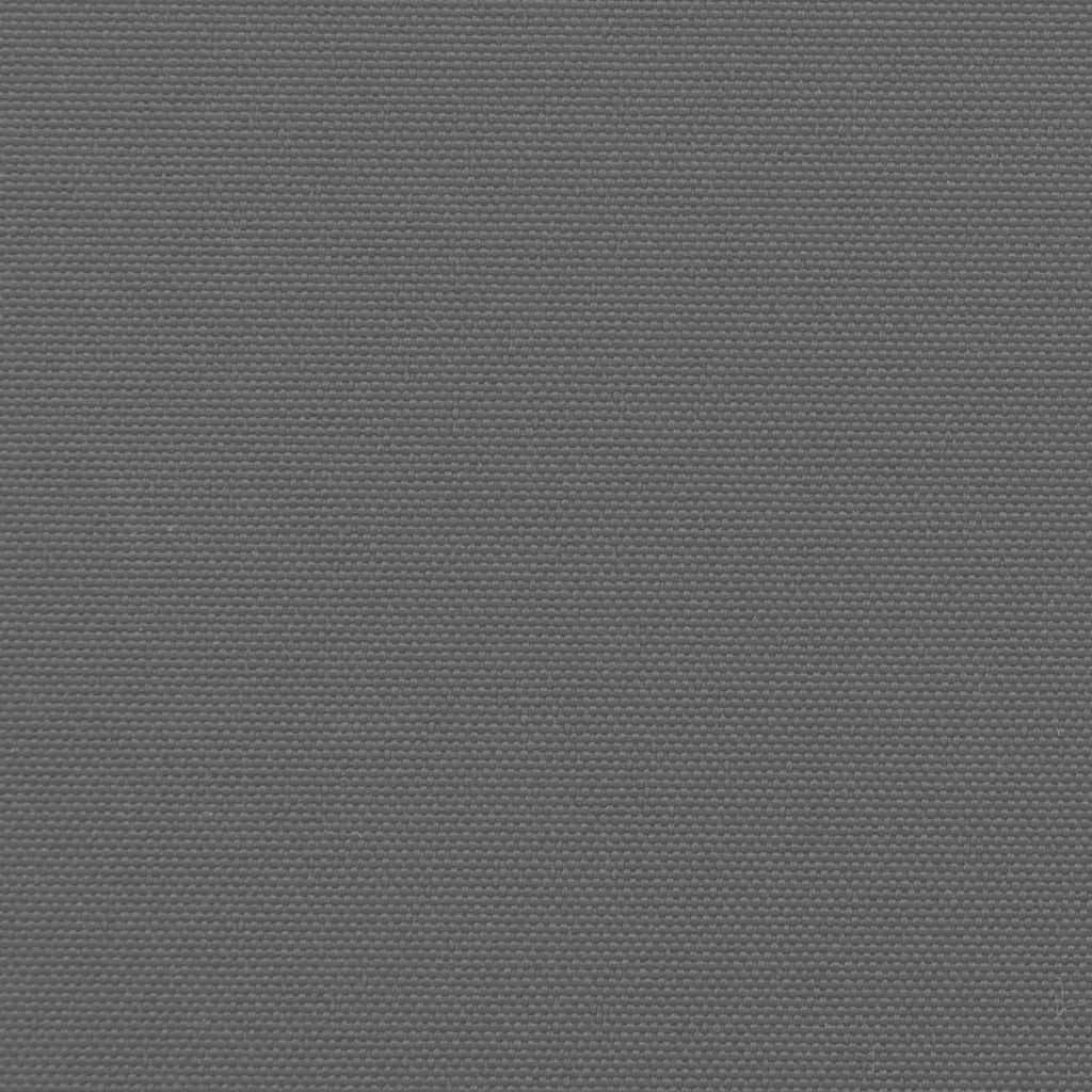 Retractable Side Awning Anthracite 180x600 cm