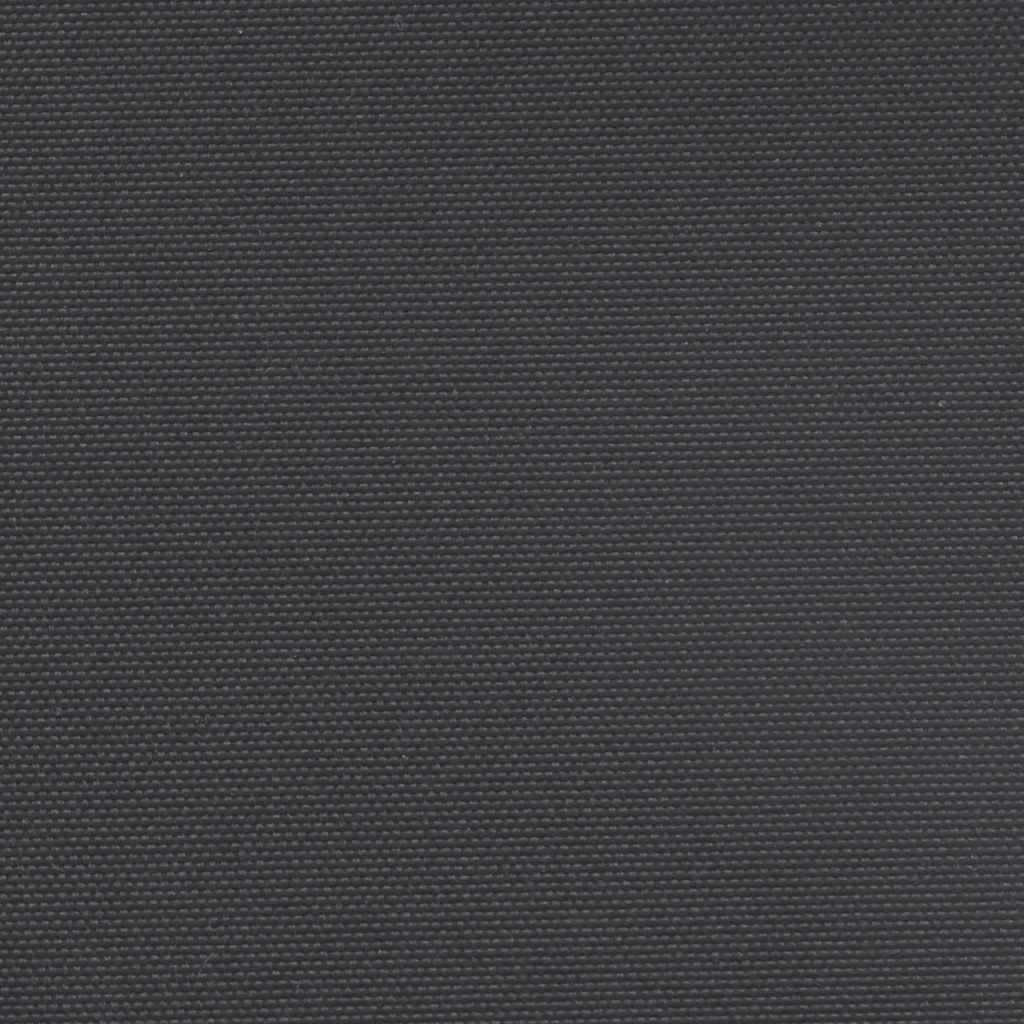 Retractable Side Awning Black 220x600 cm