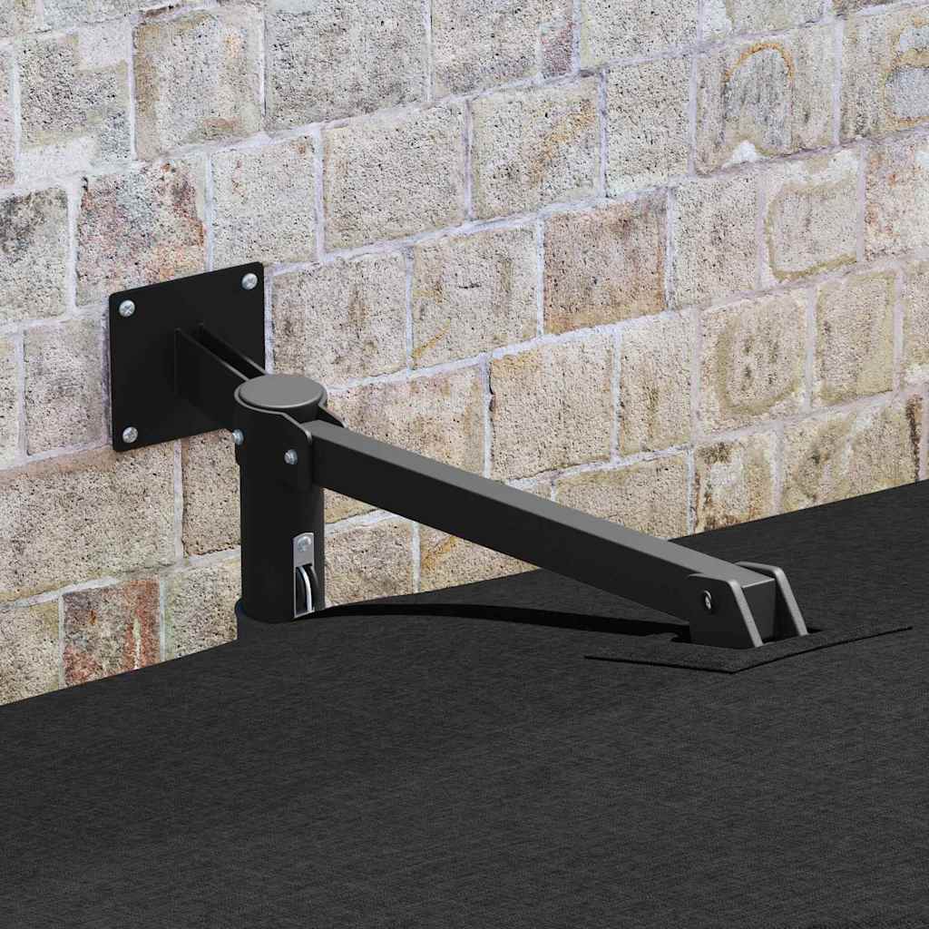 Garden Parasol Black and Black 248.5 x 247.5 x 160 cm